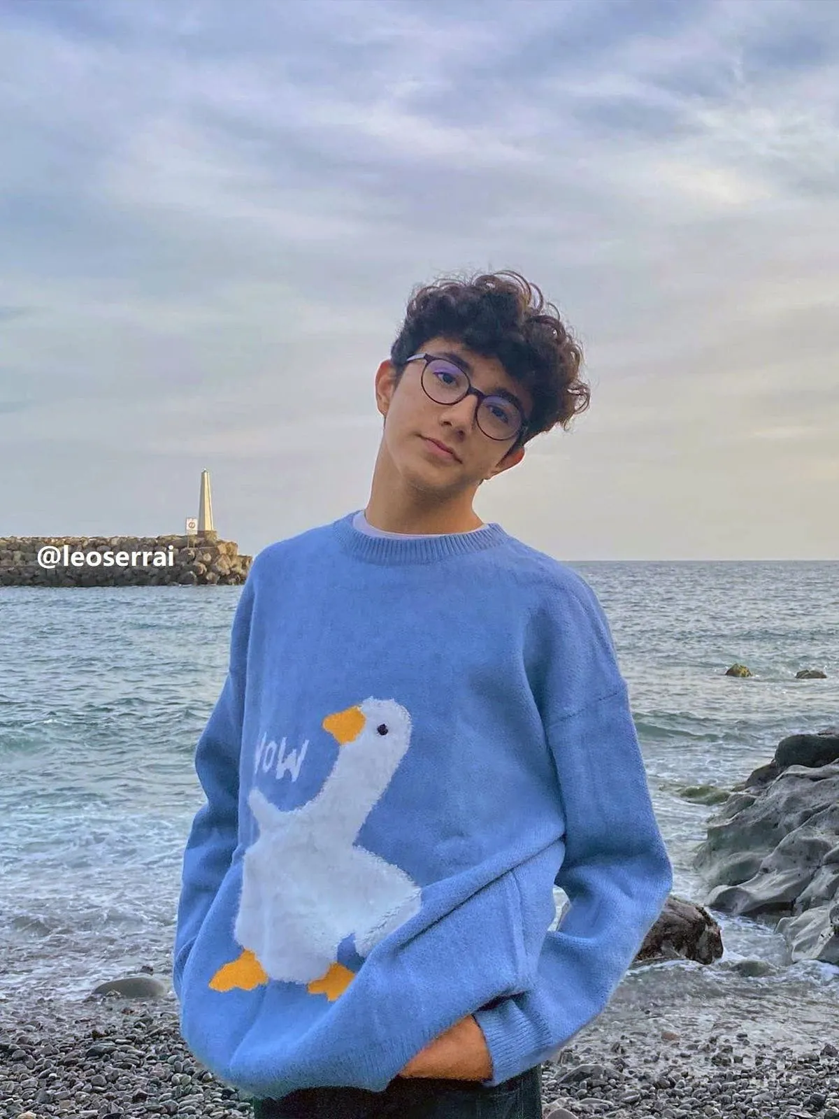 Aelfric Eden Wow Goose Sweater